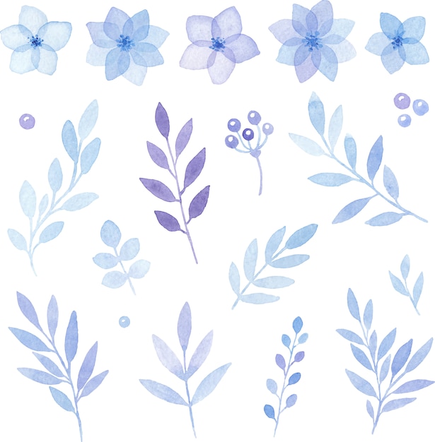 Vector conjunto floral de elementos acuarela de flores azules y hojas