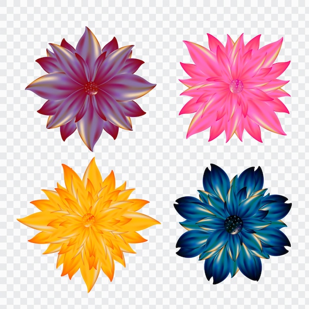 Conjunto de Floral realista sobre fondo aislado.
