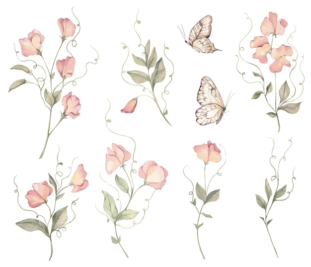 Conjunto floral rosa acuarela, imágenes prediseñadas de boda mariposa acuarela