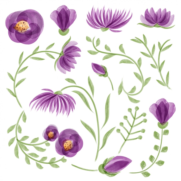 Conjunto floral vector de acuarela