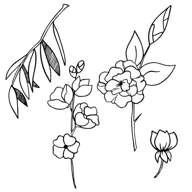 Conjunto floral vectorial Ilustración floral de hojas y flores