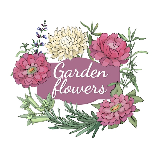 Conjunto floral. Verano y primavera flores de jardín aisladas y hierbas con zinnia, peonía, estragón, aster, romero, salvia.