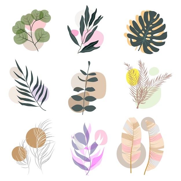 Conjunto de flores abstractas conjunto de plantas de estilo minimalista  boho para ilustración de vector de portada de papel tapiz de impresión de  pared botánica postal | Vector Premium