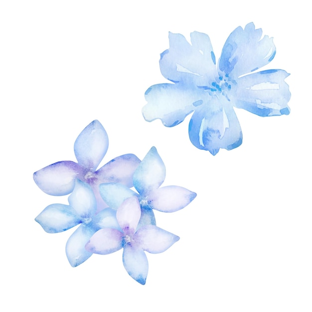 Conjunto de flores de acuarela azul