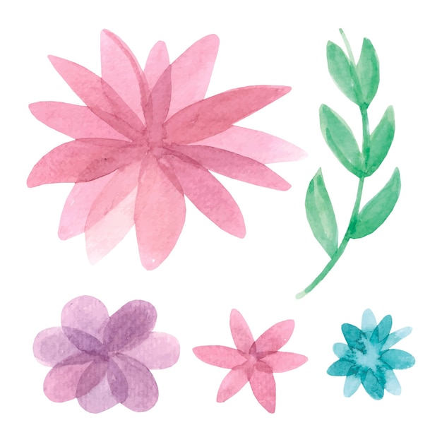 Conjunto de flores de acuarela Flor abstracta dibujada a mano
