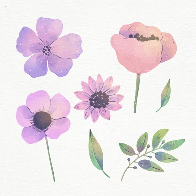 Vector conjunto de flores de acuarela pintadas a mano