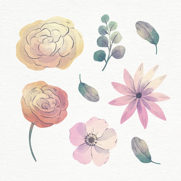 Vector conjunto de flores de acuarela pintadas a mano