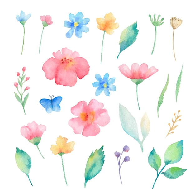 Conjunto de flores en acuarela