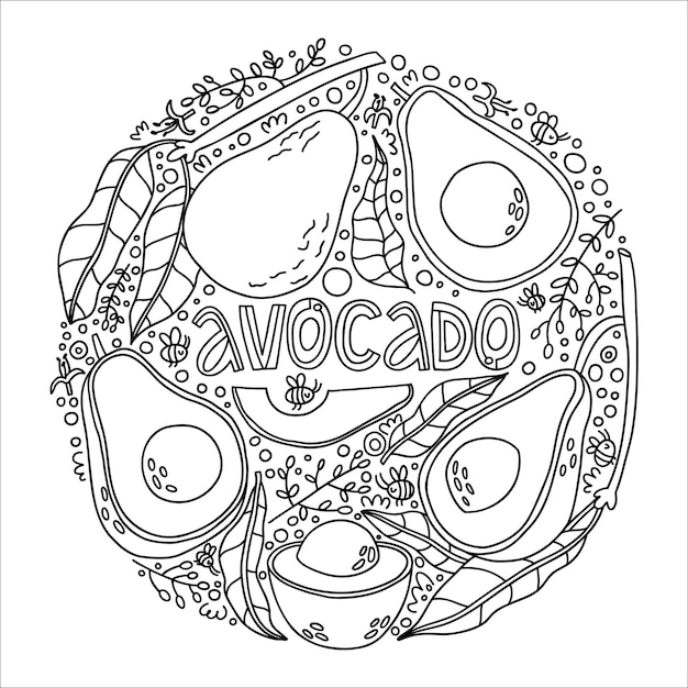 Conjunto con flores de aguacate garabato y ramitas ilustración vectorial dibujada a mano