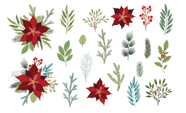 Conjunto de flores y bayas de plantas de invierno Se puede utilizar para el diseño de Navidad