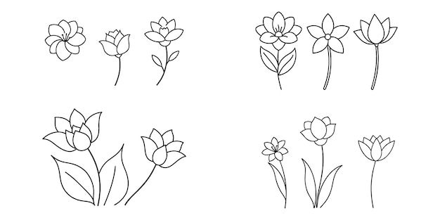 Conjunto de flores botánicas dibujadas en línea de arte vectorial Colección de follaje ramas de hojas florales