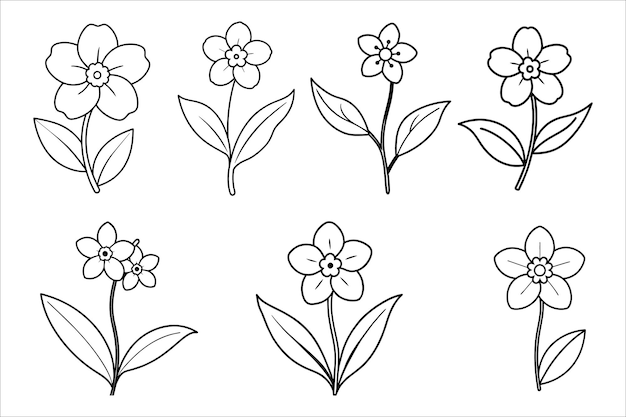 Conjunto de flores botánicas dibujadas a mano en línea de arte vectorial Colección