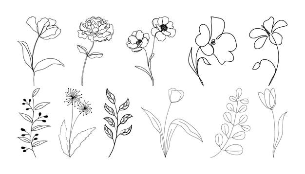 Conjunto de flores botánicas dibujadas a mano vector de arte de línea Colección de ramas de hojas de follaje floral f