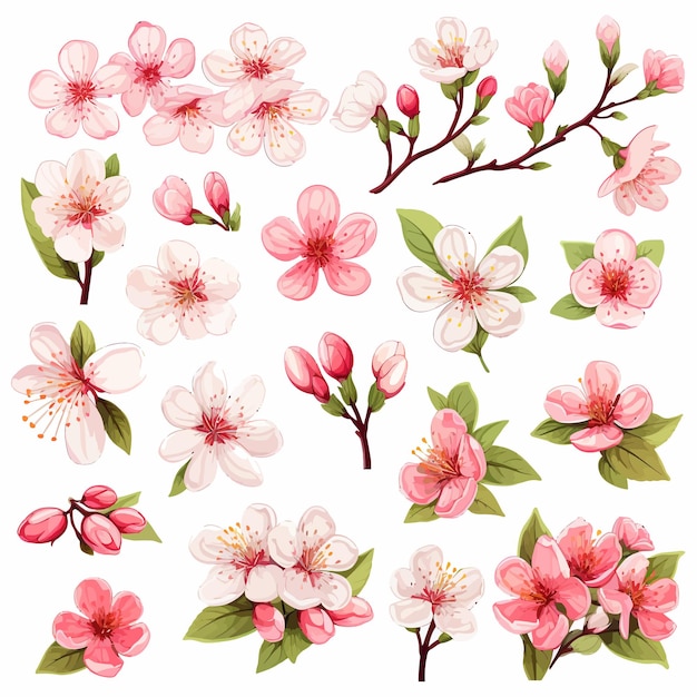 Conjunto de flores de cerezo, hojas y pétalos.