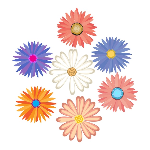 Conjunto de flores coloridas margarita y manzanilla Elementos florales decorativos Ilustración vectorial