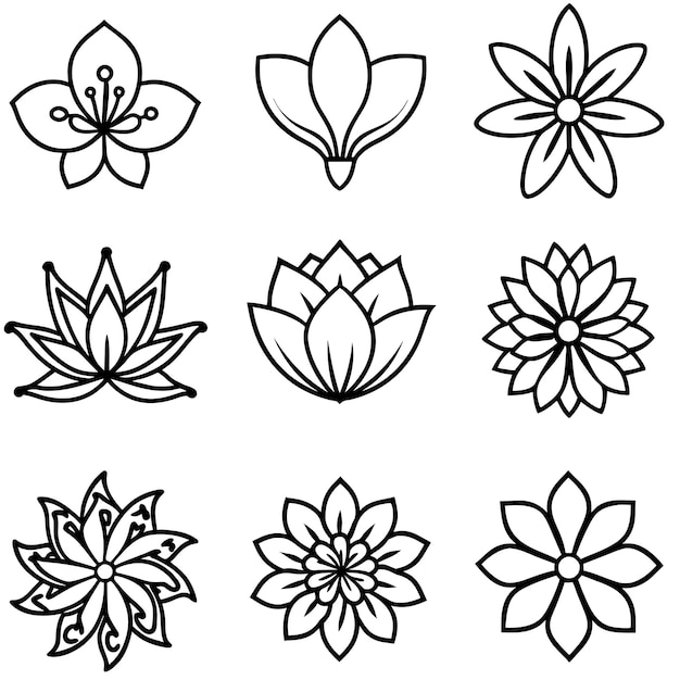 conjunto de flores contorno ilustración en fondo blanco