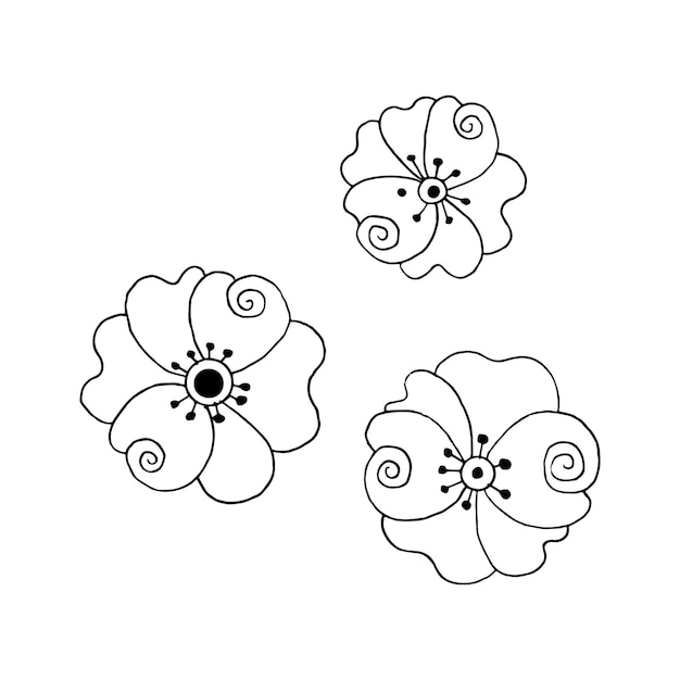 Vector conjunto de flores decorativas dibujadas a mano