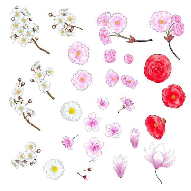 Conjunto de flores decorativas en estilo chino