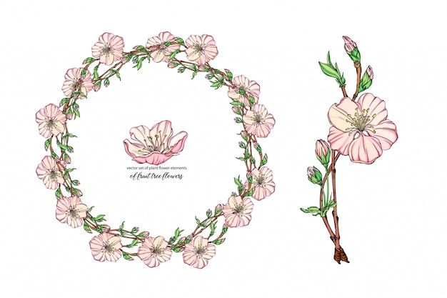 conjunto de flores con delicadas flores, rama floreciente