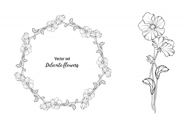 conjunto. Flores delicadas