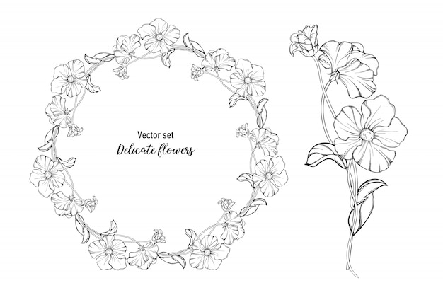 conjunto. Flores delicadas