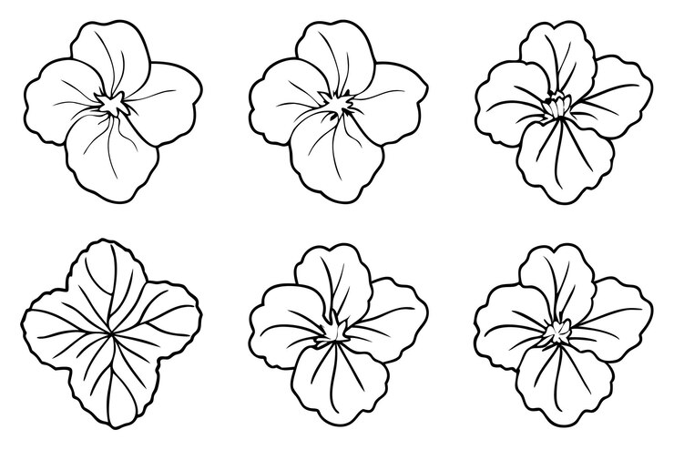 Vector un conjunto de flores dibujadas sobre un fondo blanco