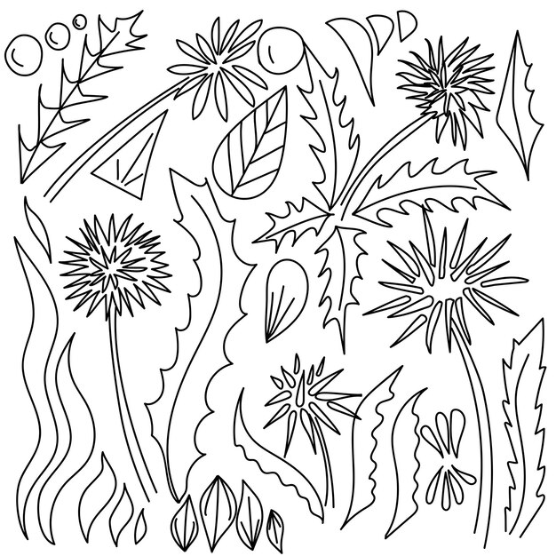 Conjunto de flores de diente de león vectorial, plantas y elementos de garabateo para el diseño