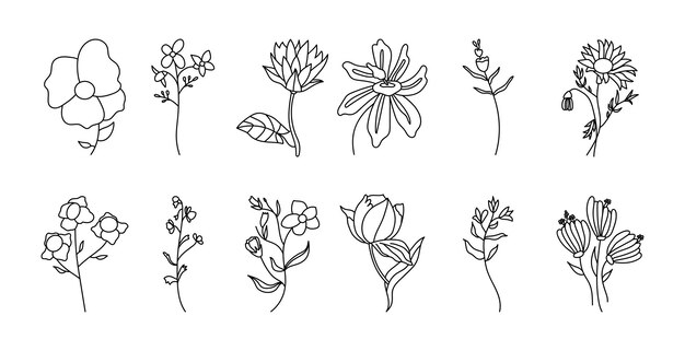 Conjunto de flores de Doodle
