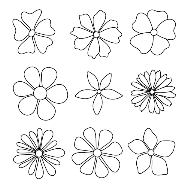 Un conjunto de flores exóticas abstractas aisladas dibujadas a mano en una ilustración vectorial de contorno negro