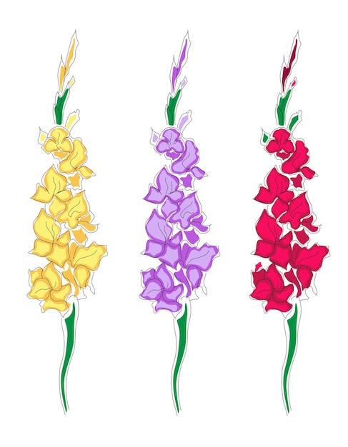 Conjunto de flores de gladiolo en estilo lineal Flores lineales para plantilla de logotipo de tatuaje