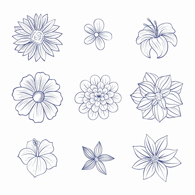 Vector conjunto de flores grabado dibujado a mano