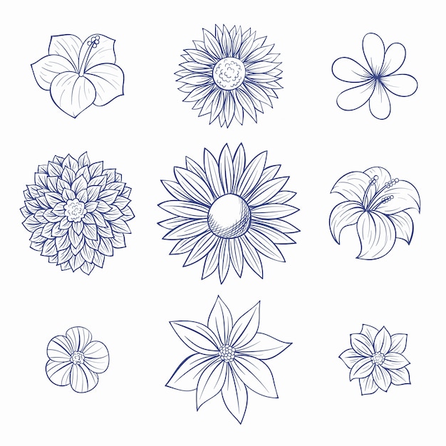 Vector conjunto de flores grabado dibujado a mano