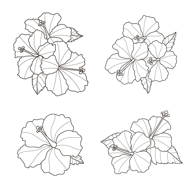 Vector conjunto de flores de hibisco