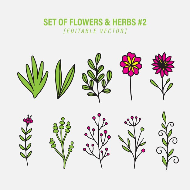 Conjunto de flores y hierbas botánicas Vector editable 02
