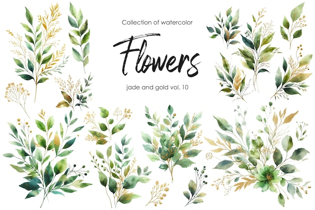 conjunto de flores y hojas de acuarela sobre fondo blanco flores pintadas a mano en color oro y jade