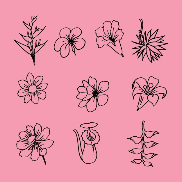 Conjunto de flores y hojas línea ilustración dibujada a mano vectorial textura del diseño del elemento