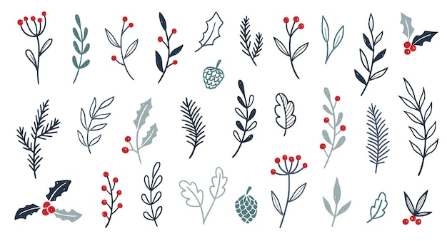 Conjunto de flores de hojas de plantas navideñas dibujo a mano boceto de holly floral árbol de Navidad hojas de invierno