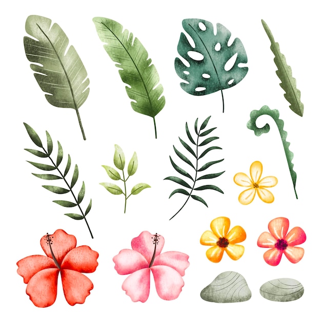 Vector conjunto de flores y hojas de plantas tropicales