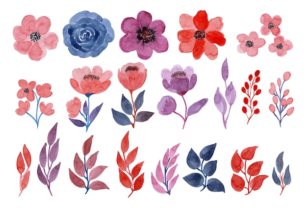Conjunto de flores y hojas púrpuras rosadas acuarelas pintadas a mano con elementos florales