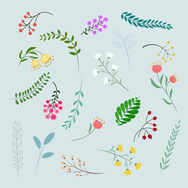 Conjunto de flores y hojas silvestres de primavera y verano Ilustración vectorial Clip art para el concepto de primavera y verán