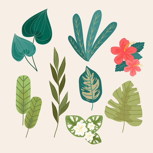 Vector conjunto de flores y hojas tropicales