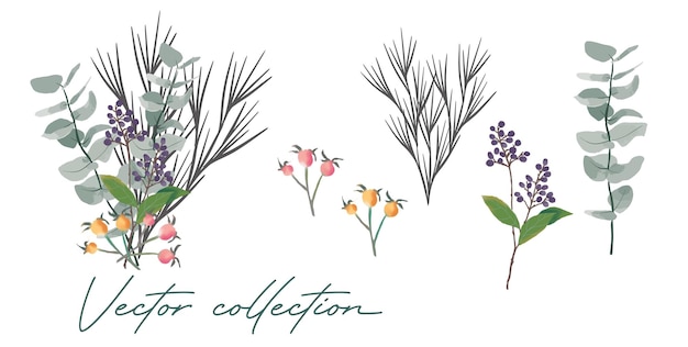 Conjunto de flores y hojas vectoriales acuarelas pintadas a mano diseño vectorial