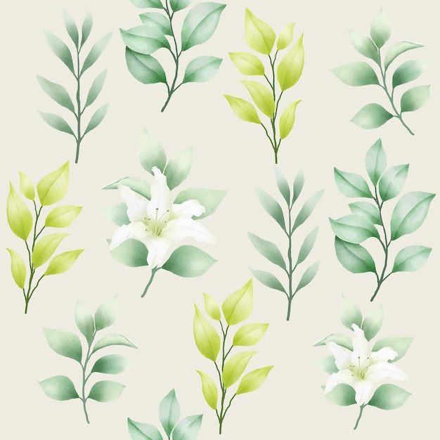 un conjunto de flores con hojas verdes y flores blancas