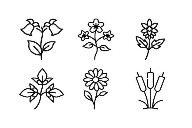 conjunto de flores icono