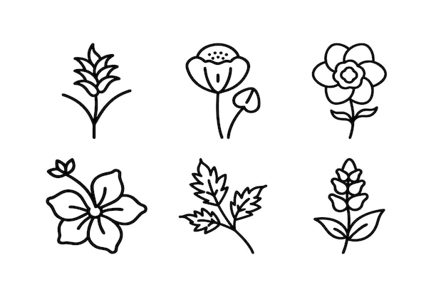 conjunto de flores icono
