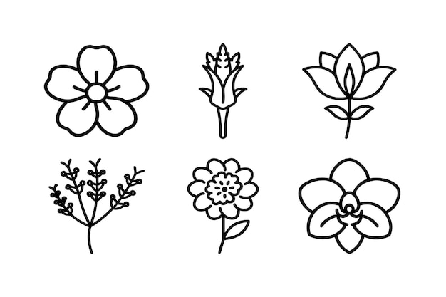 conjunto de flores icono