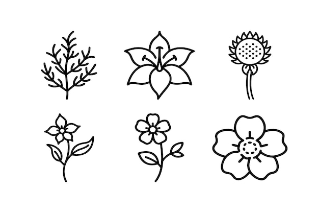 conjunto de flores icono