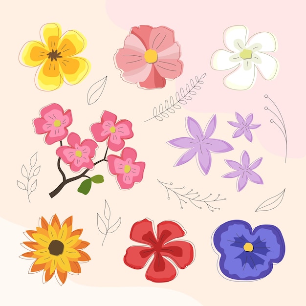 Vector conjunto, de, flores, ilustración, en, colorido, floral, colección