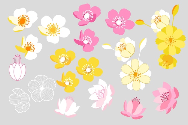 Conjunto de flores ilustración de diseño vectorial aislado en el fondo