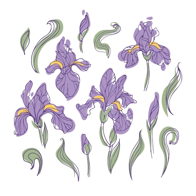 Conjunto de flores de iris brillantes modernas sobre un fondo blanco ilustración de vector botánico en estilo dibujado a mano para pegatinas carteles elementos de diseño de tarjetas